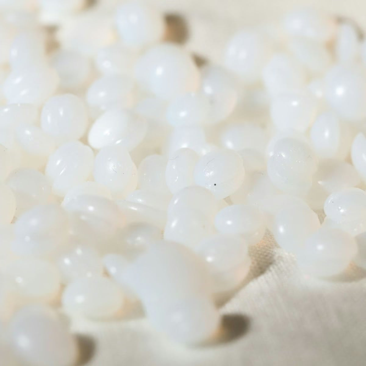 Close-up of white pearls on a light background
